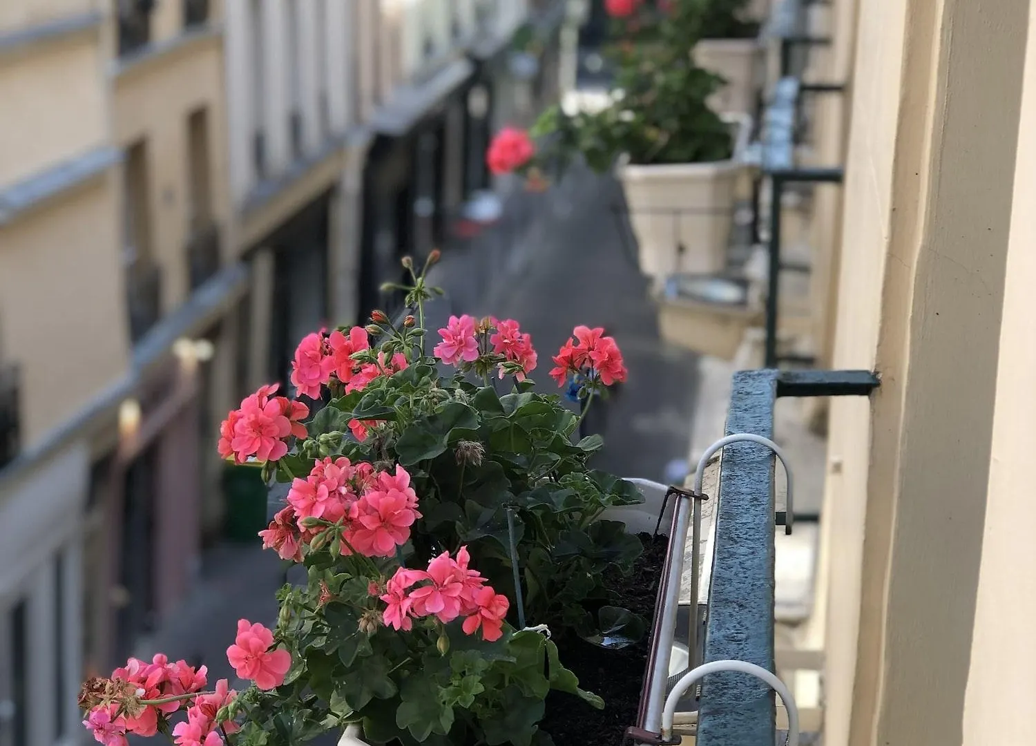 Hôtel Du Vieux Saule Paris França